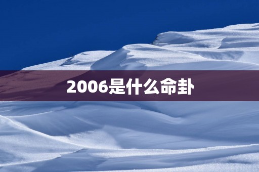 2006是什么命卦