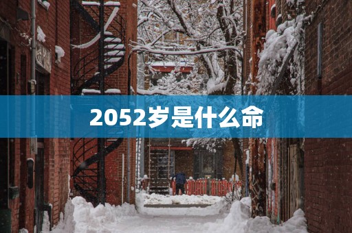 2052岁是什么命