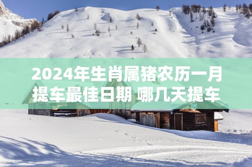 2025年生肖属猪农历一月提车最佳日期 哪几天提车最佳