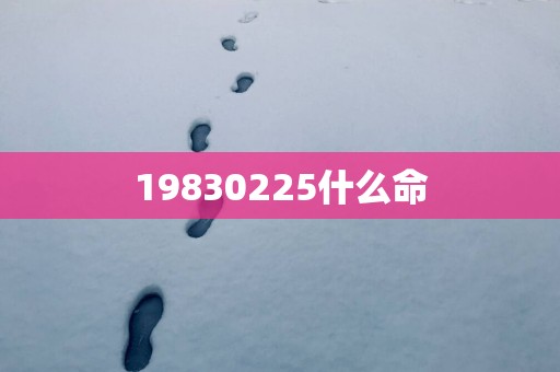 19830225什么命