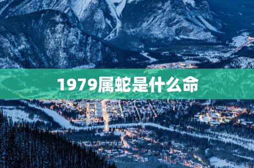 1979属蛇是什么命
