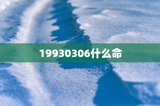 19930306什么命