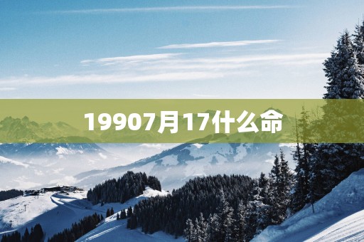 19907月17什么命