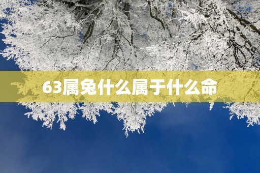 63属兔什么属于什么命