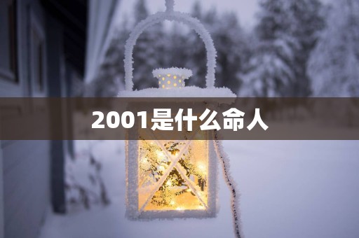 2001是什么命人