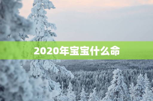 2025年宝宝什么命