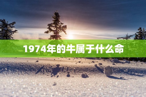 1974年的牛属于什么命