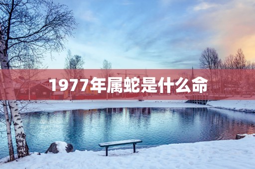 1977年属蛇是什么命