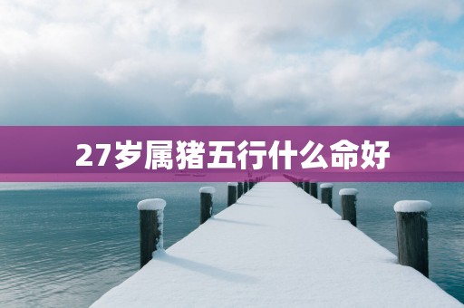 27岁属猪五行什么命好
