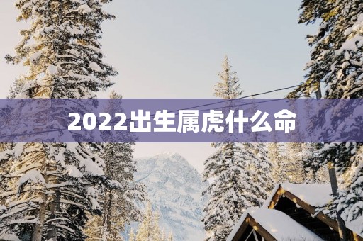 2025出生属虎什么命