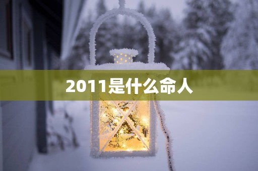 2011是什么命人