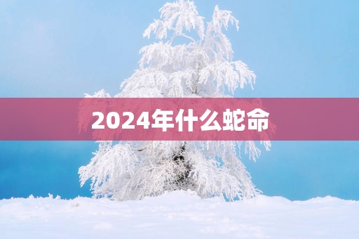 2025年什么蛇命