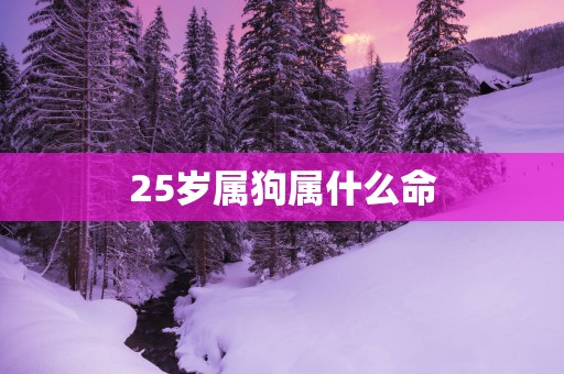 25岁属狗属什么命