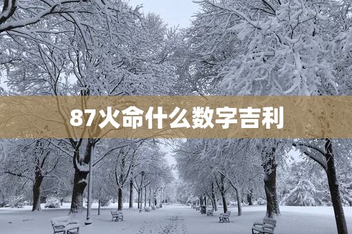 87火命什么数字吉利