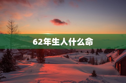 62年生人什么命
