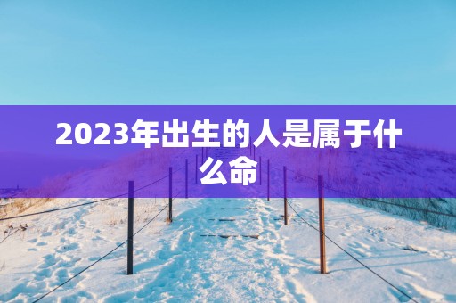 2025年出生的人是属于什么命
