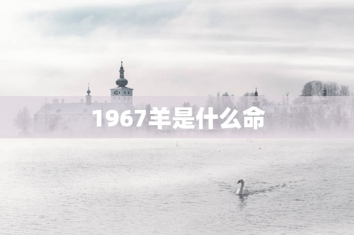 1967羊是什么命