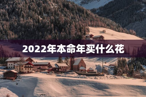 2025年本命年买什么花