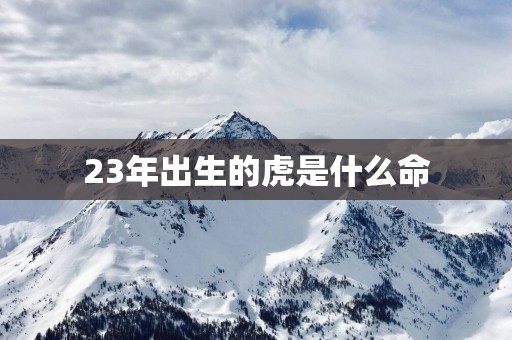 23年出生的虎是什么命