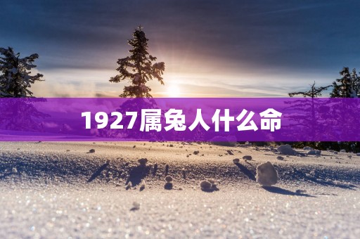 1927属兔人什么命