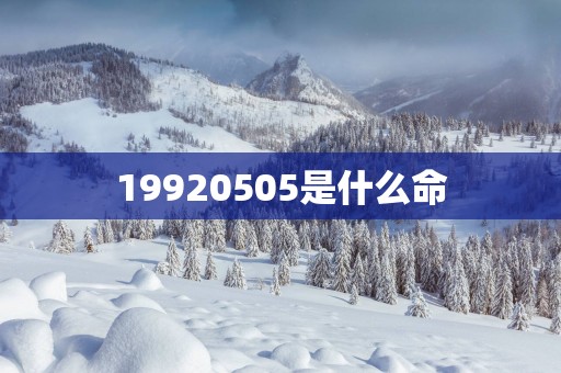 19920505是什么命