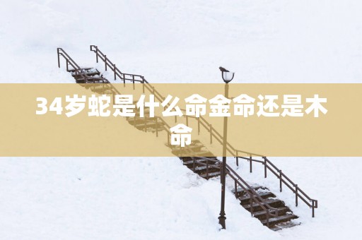 34岁蛇是什么命金命还是木命