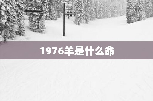 1976羊是什么命