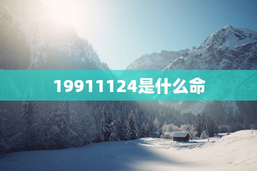 19911124是什么命