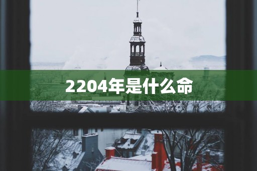 2204年是什么命