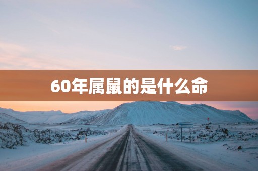 60年属鼠的是什么命
