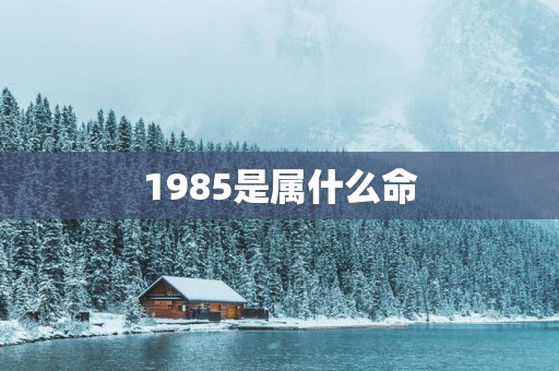 1985是属什么命