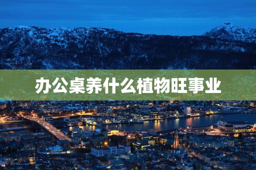 办公桌养什么植物旺事业