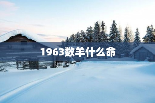 1963数羊什么命