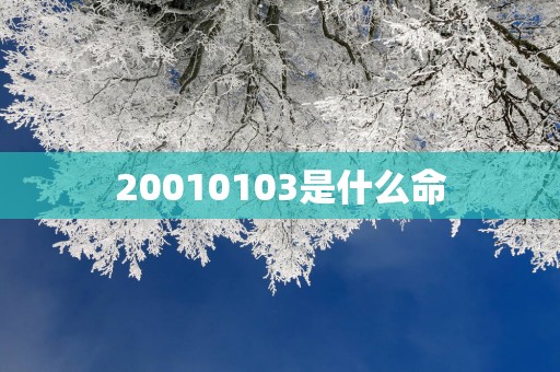 20010103是什么命