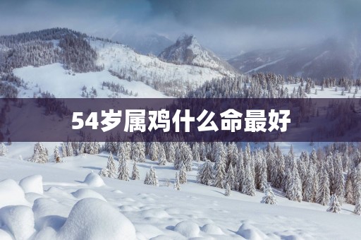 54岁属鸡什么命最好