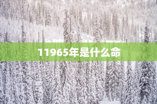 11965年是什么命