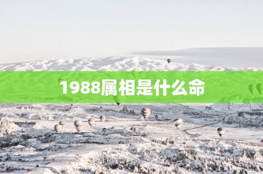 1988属相是什么命