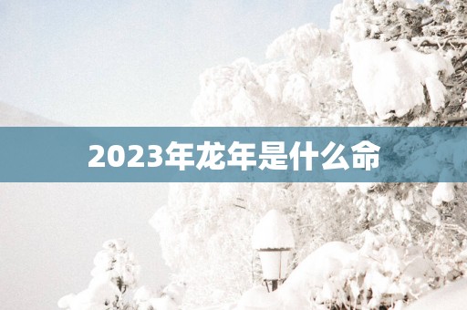 2025年蛇年是什么命