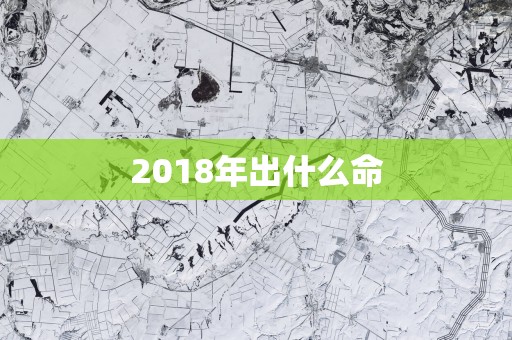 2018年出什么命