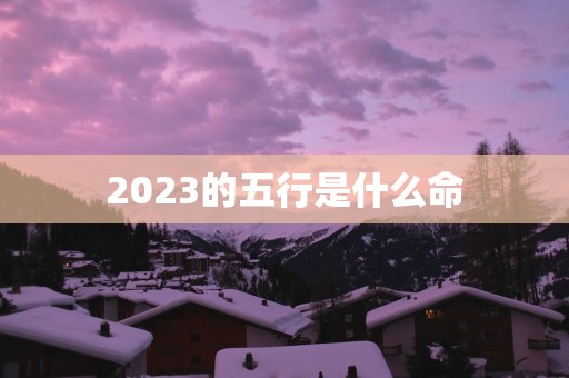 2025的五行是什么命