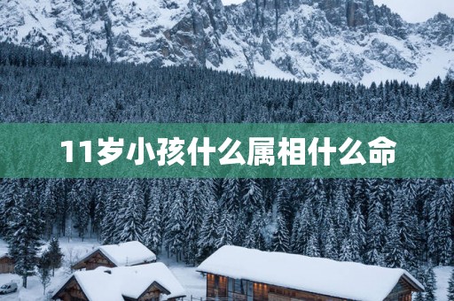 11岁小孩什么属相什么命