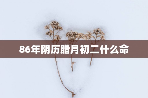 86年阴历腊月初二什么命