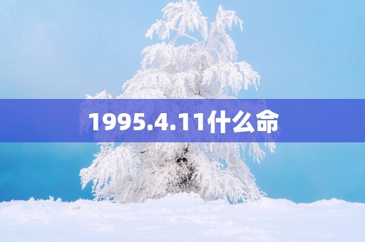 1995.4.11什么命