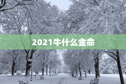 2025牛什么金命