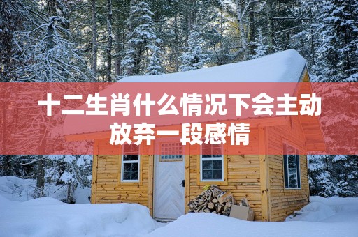 十二生肖什么情况下会主动放弃一段感情
