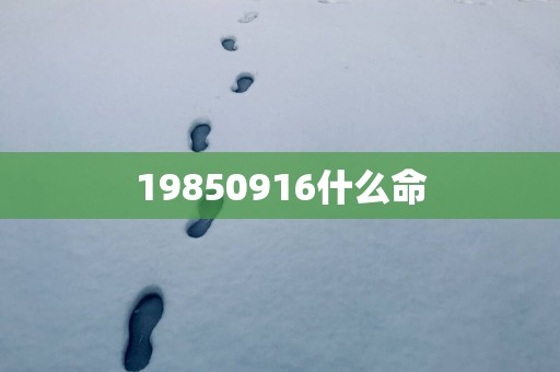 19850916什么命