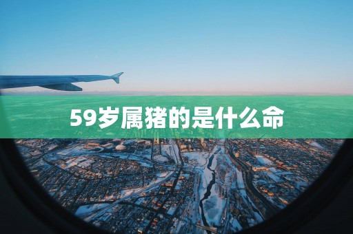 59岁属猪的是什么命