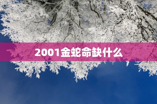 2001金蛇命缺什么
