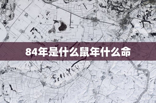 84年是什么蛇年什么命