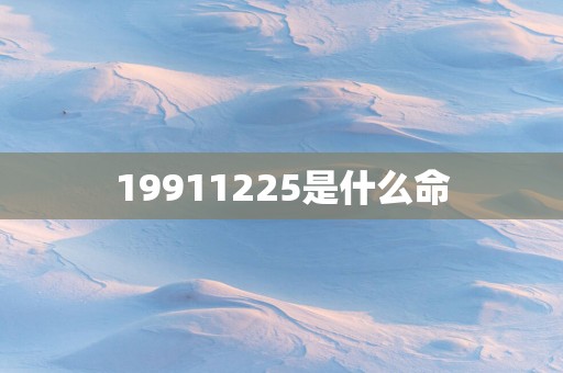 19911225是什么命